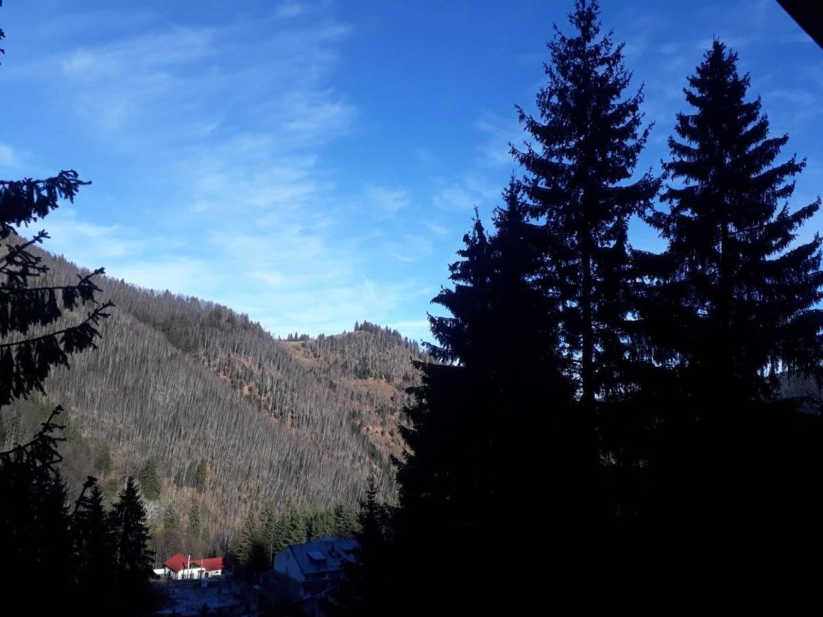 Cabana "Trei Brazi " Retezat Rîu de Mori Exterior foto